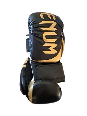 Boxing Venum gloves (beginners)