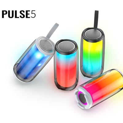 Pulse 5 (Luxury Inspired) TWS RGB Wireless Bluetooth Speaker For PC Phone 