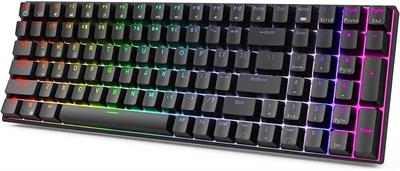 Rk 100 96% WIRED Full Size Mechanical Gaming Keyboard - Hot-Swappable & Rainbow Backlit (Black) 