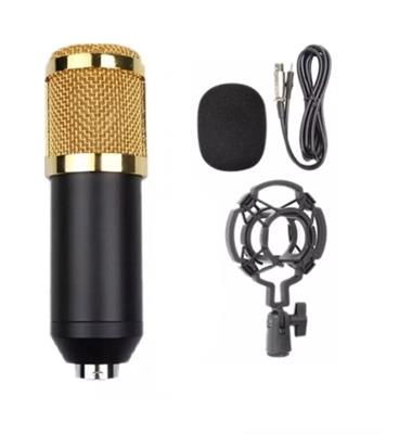 Zingyou Microphone Profesional Condenser Microphone Bm800 