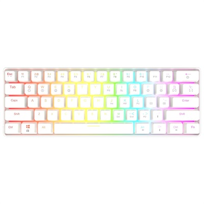Skyloong GK61 61 Keys 60% RGB Mechanical Gaming Keyboard Hot Swappable (Brown Switches) - White