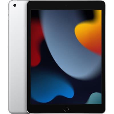 Apple iPad 256GB 9th Gen Wi-Fi Only 10.2" MK2P3LL/A Silver 
