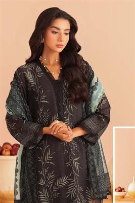 Afreen by Riaz Arts 3Pcs